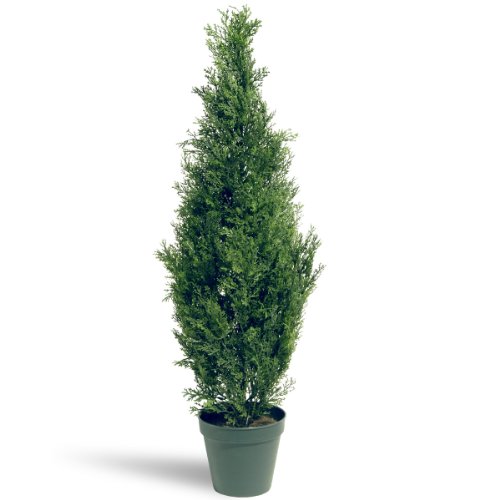 National Tree 36 Inch Arborvitae Tree in Dark Green Round Plastic Pot (LMC4-700-36-1)