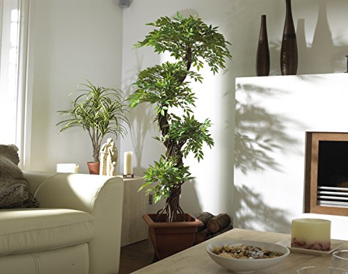 Luxury Japanese Fruticosa Tree, Handmade Artificial Plant, Replica Japanese Tree Made With Real Bark and Synthetic Leaves in a Brown Plastic Pot, 165 Centimetres Tall
