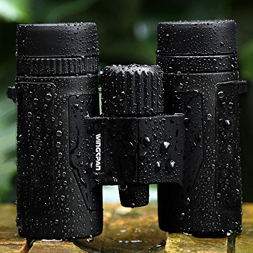 Wingspan Optics Spectator 8X32 Compact Binoculars for Bird Watching. Lightweight and Compact for Hours of Bright, Clear Bird Watching. Also for Outdoor Sports Games and Concerts