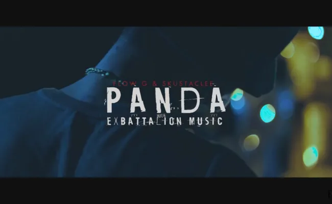 panda flow g lyrics