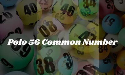 polo 56 common number
