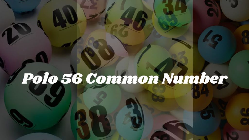 polo 56 common number
