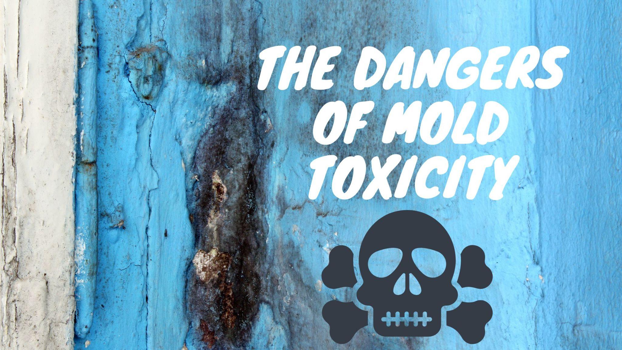 Dangers of Mold Toxicity