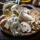 Nutritional And Medicinal Value Of Mushrooms