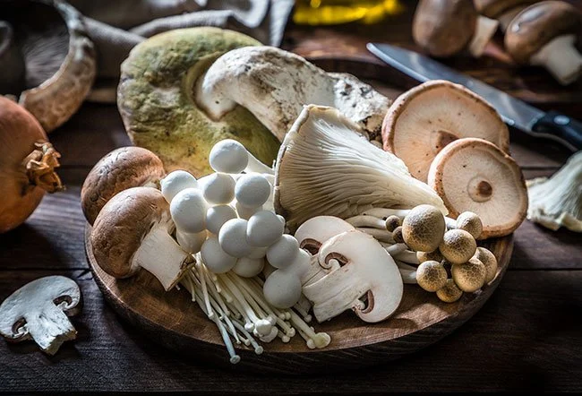 Nutritional And Medicinal Value Of Mushrooms