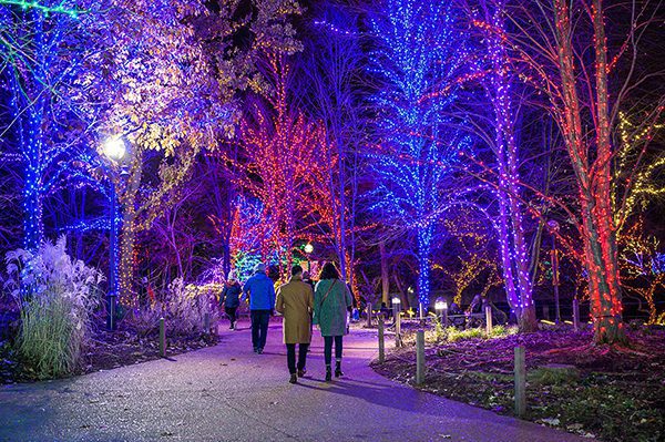 lincoln park zoo lights
