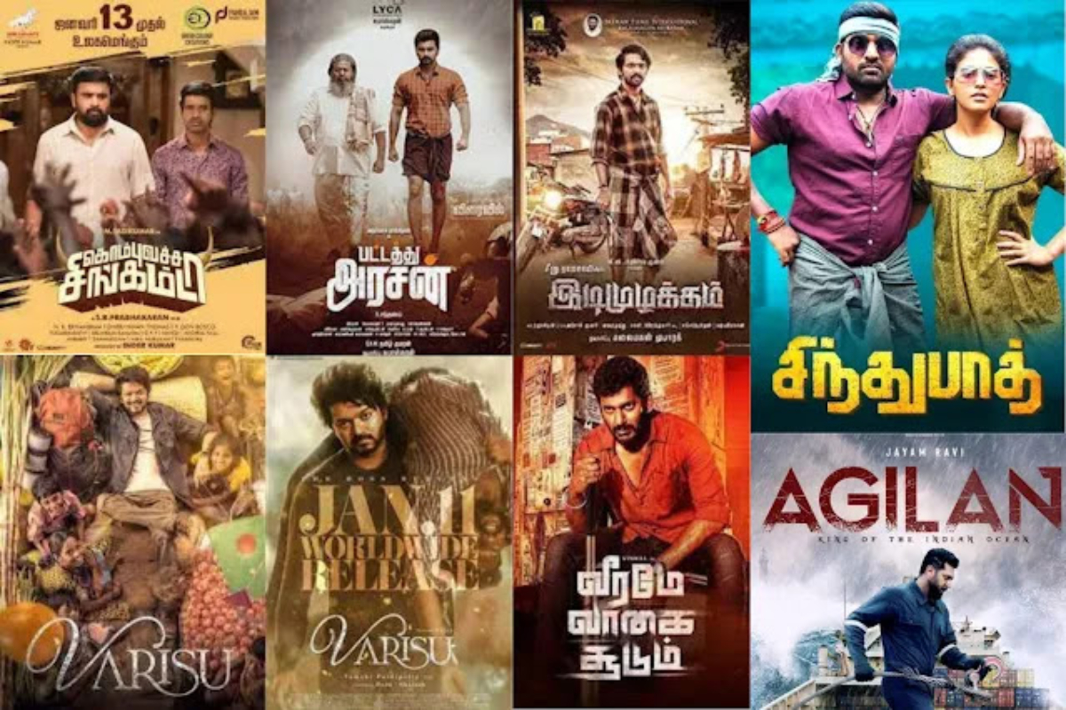 Kutty Movies Collection