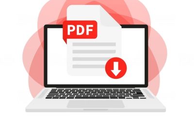 PDF For Your Website