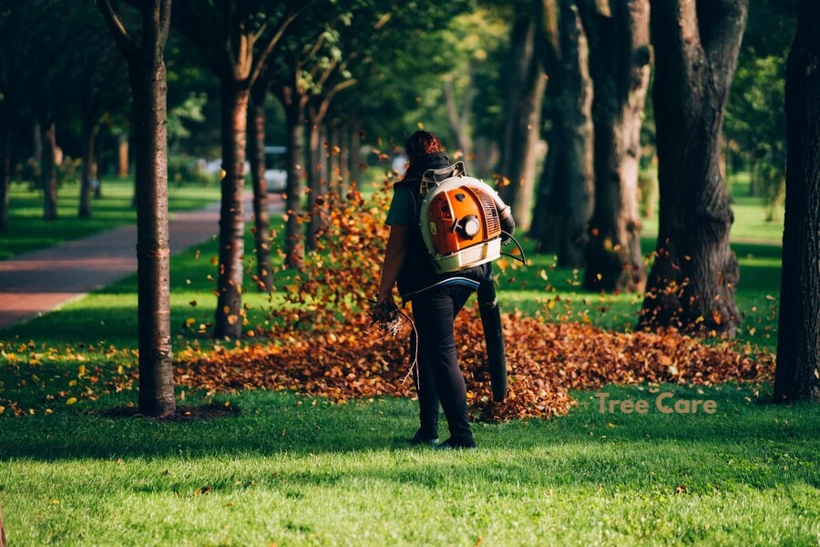 Tree Care